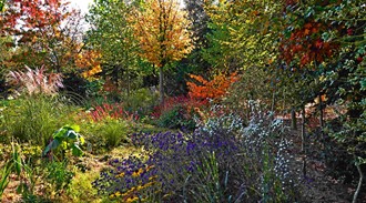 De kleurrijke najaarstuin