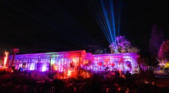 Groots lichtfestijn
